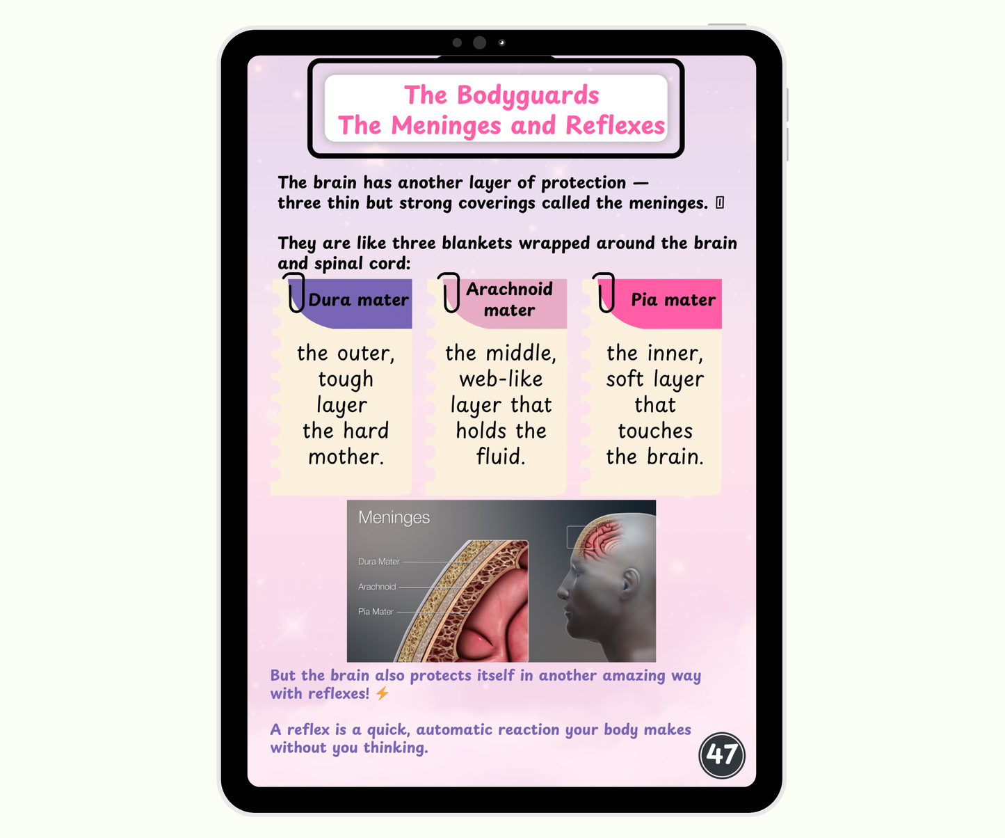 The Brain: The Mighty Boss of Your Body