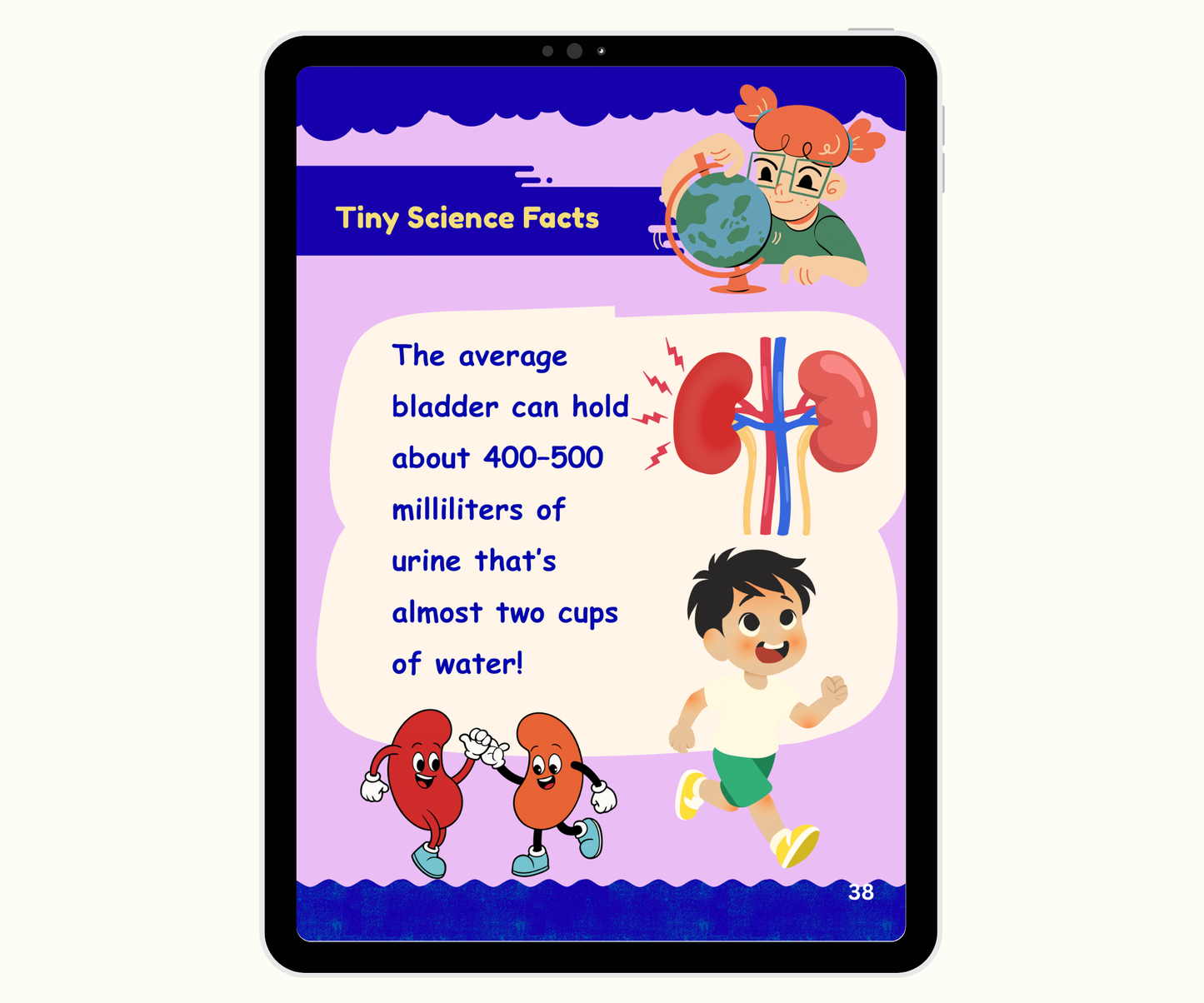 The Urinary System: The Body’s Cleaning Factory