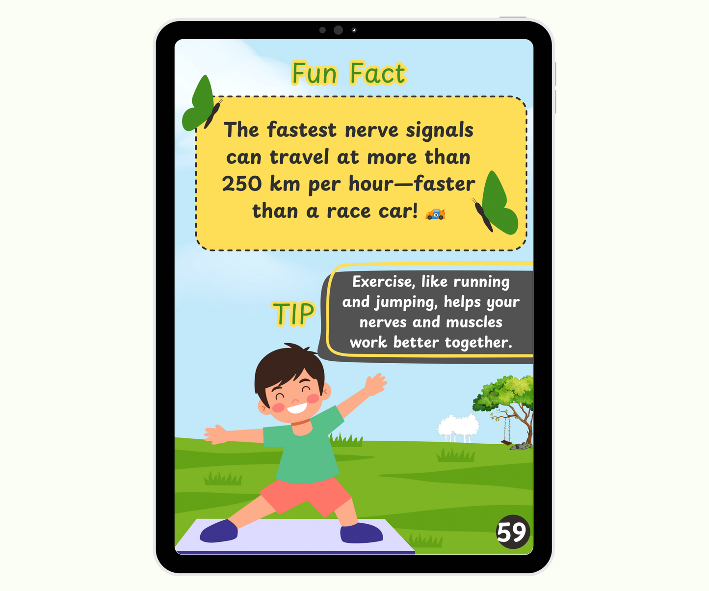 The Nervous System: The Body’s Smart Message Highway