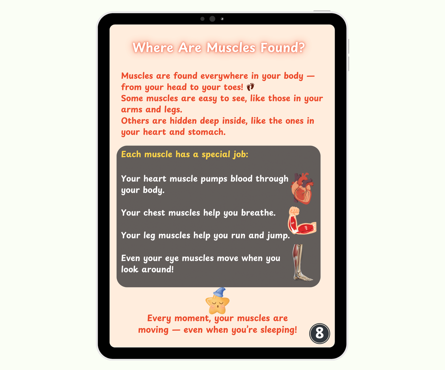 The Muscular System: Muscles That Move Your World