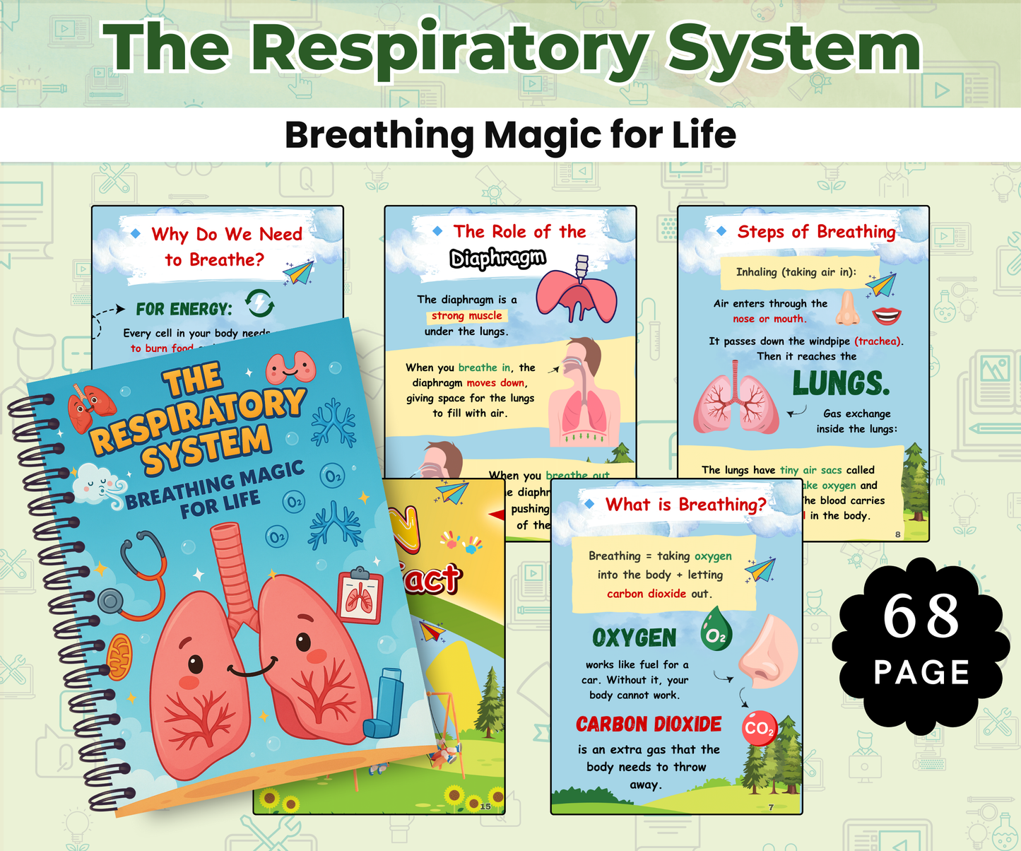 The Respiratory System: Breathing Magic for Life