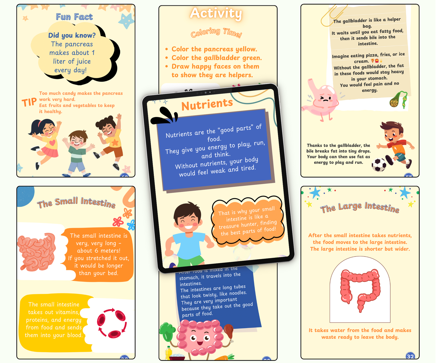 The Digestive System: The Food Adventure Inside You