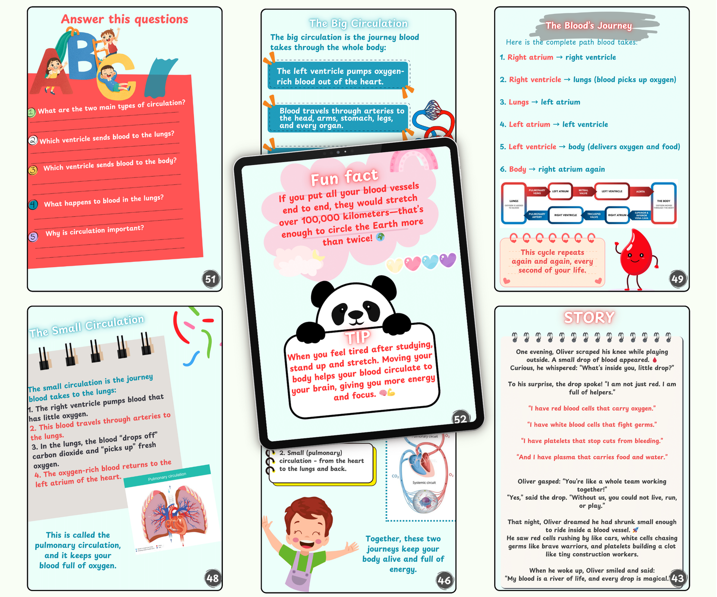 The Circulatory System: The Heart and Blood Super Team