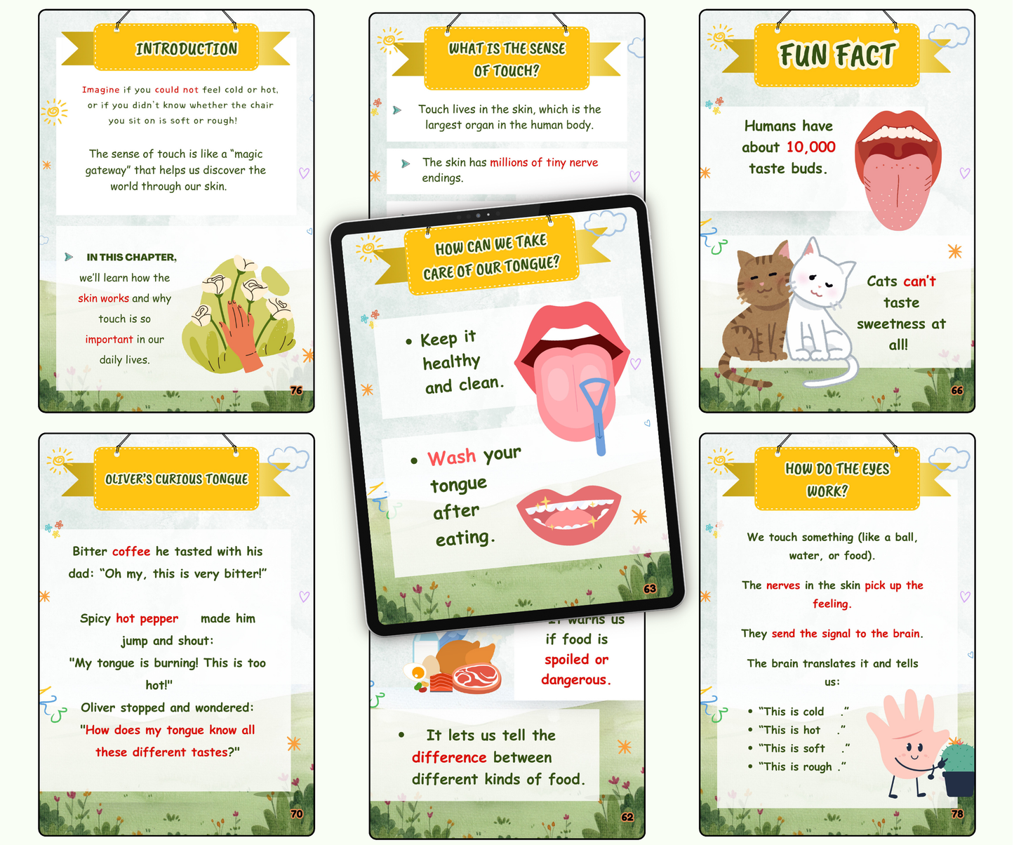 The Five Senses: Your Magic Tools to Discover Life