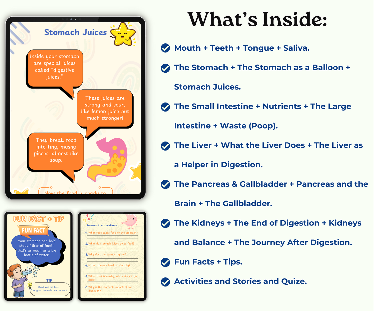 The Digestive System: The Food Adventure Inside You