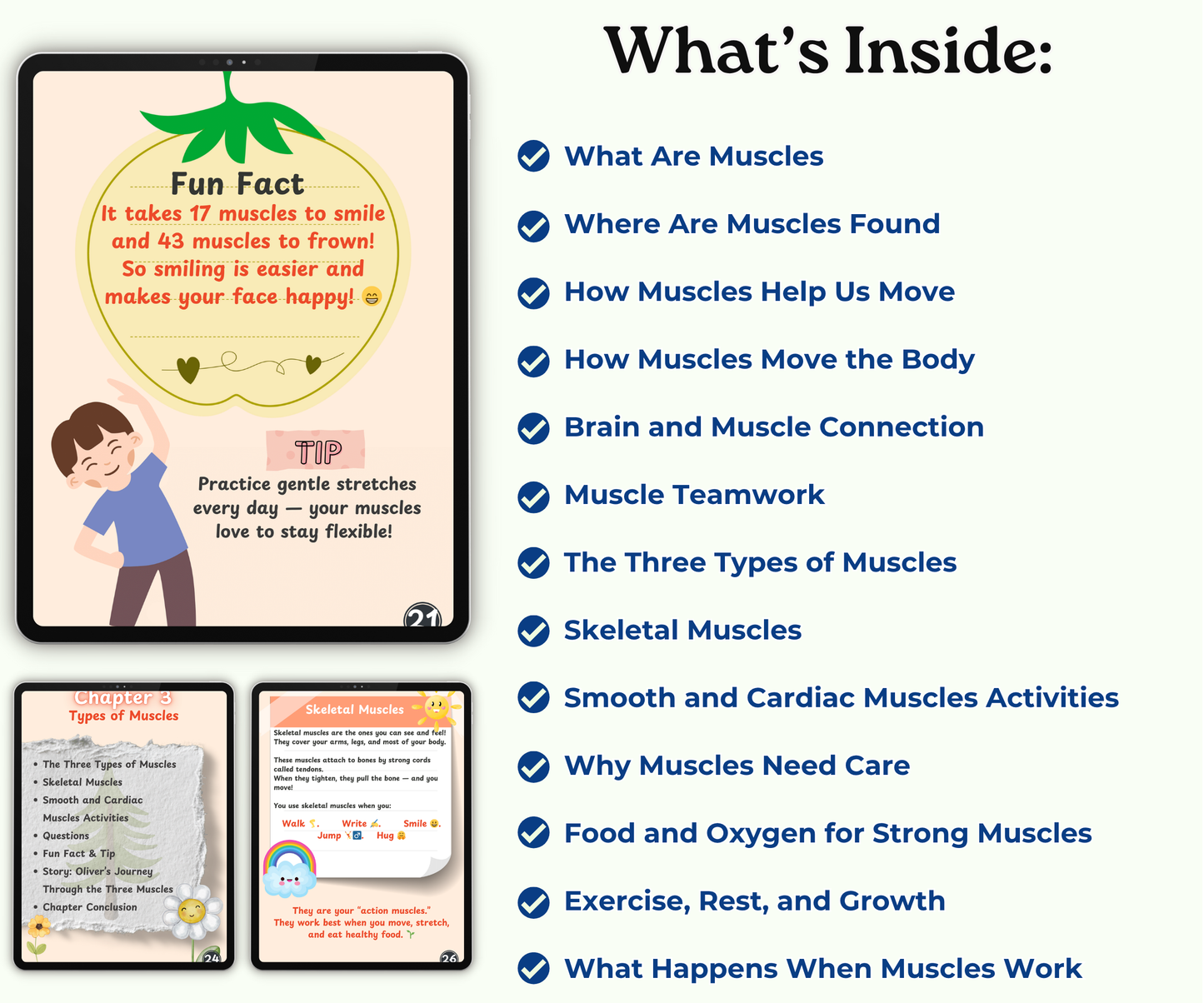 The Muscular System: Muscles That Move Your World