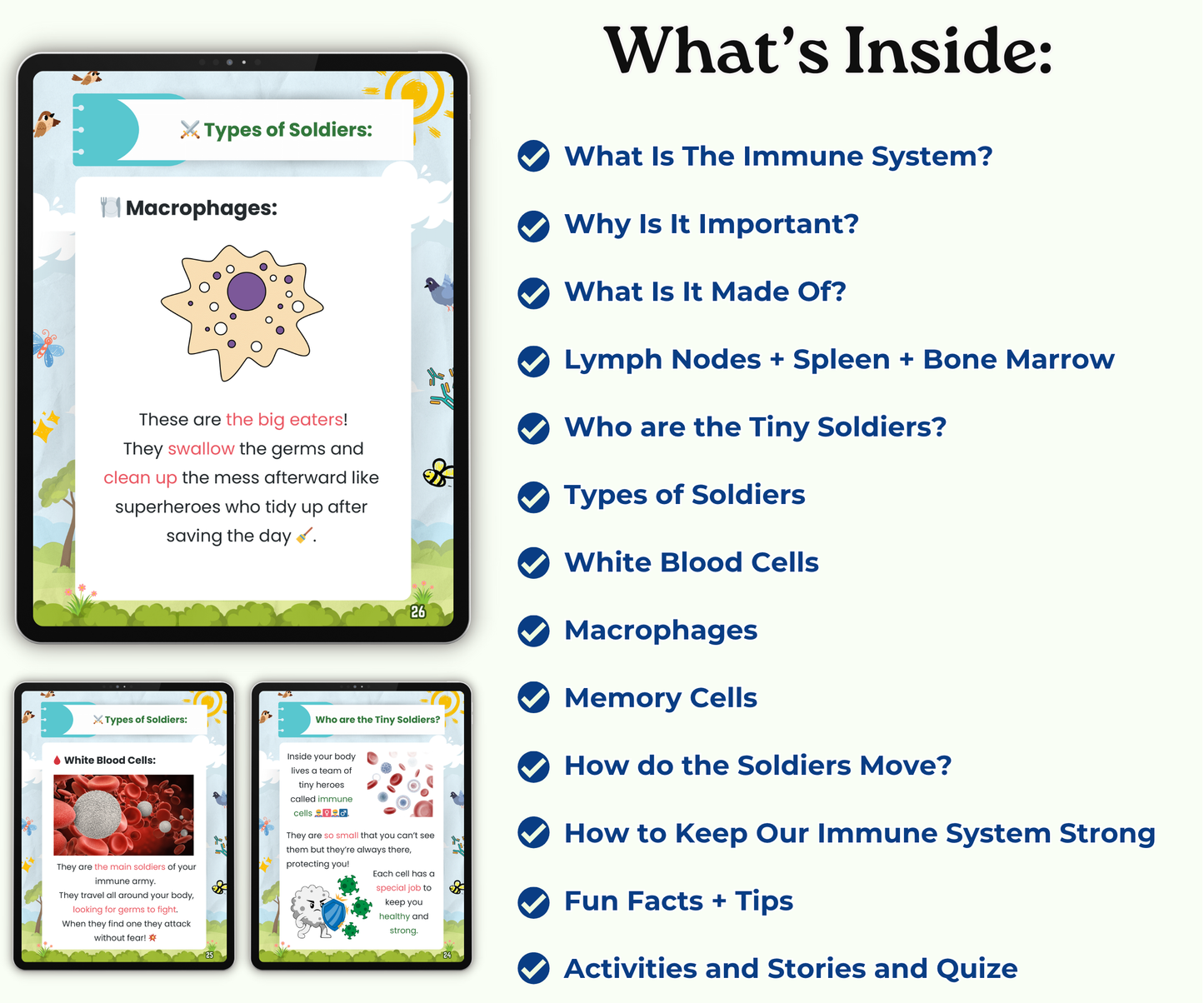 The Immune System: Your Invisible Super Shield