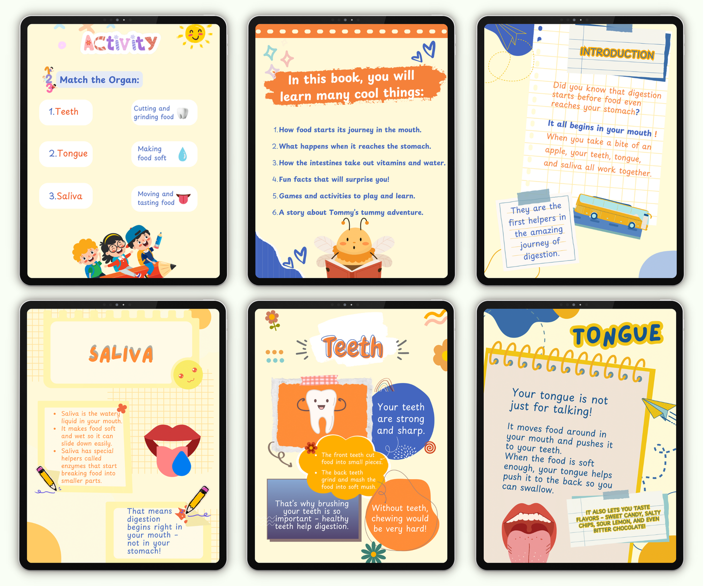 The Digestive System: The Food Adventure Inside You