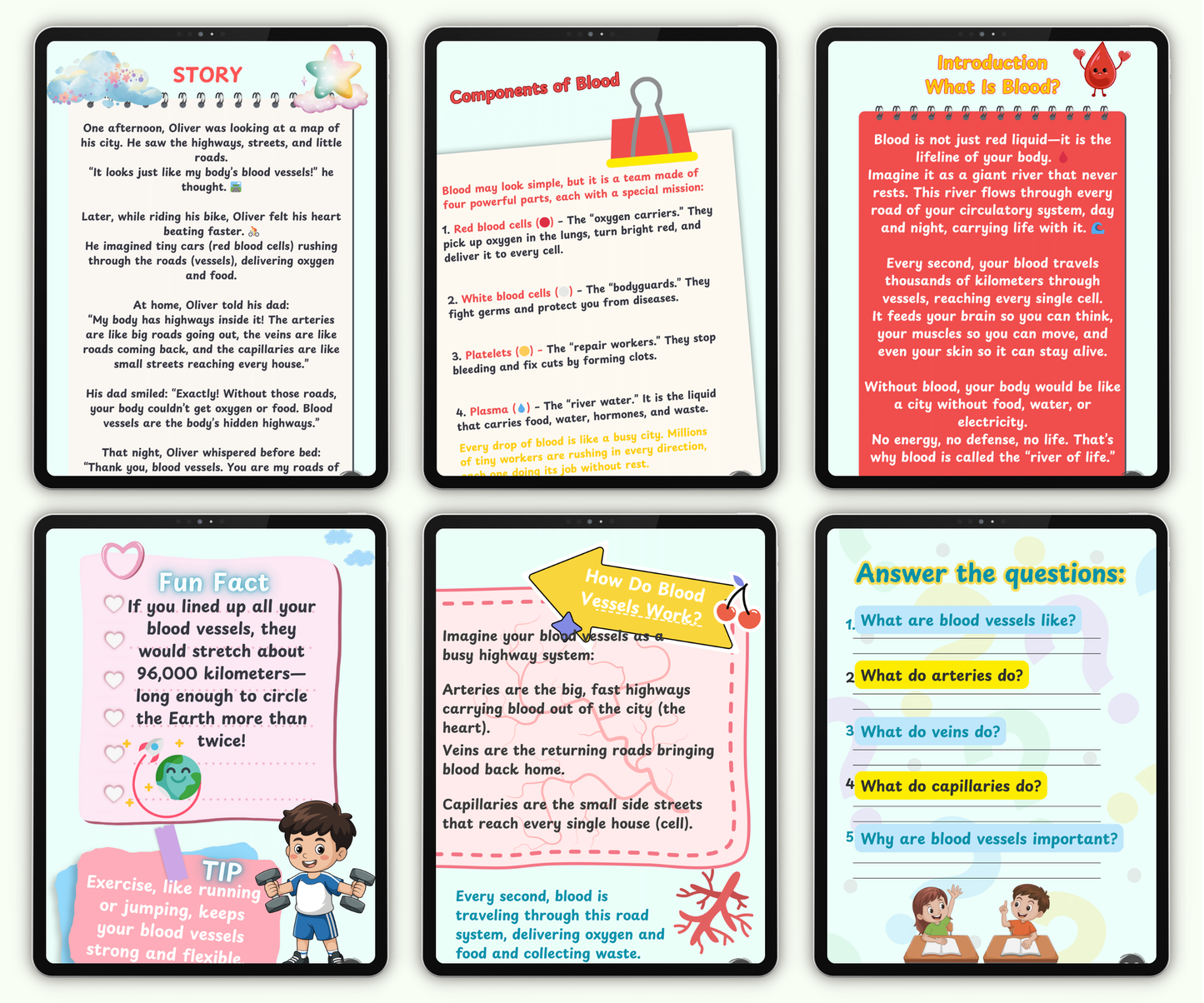 The Circulatory System: The Heart and Blood Super Team