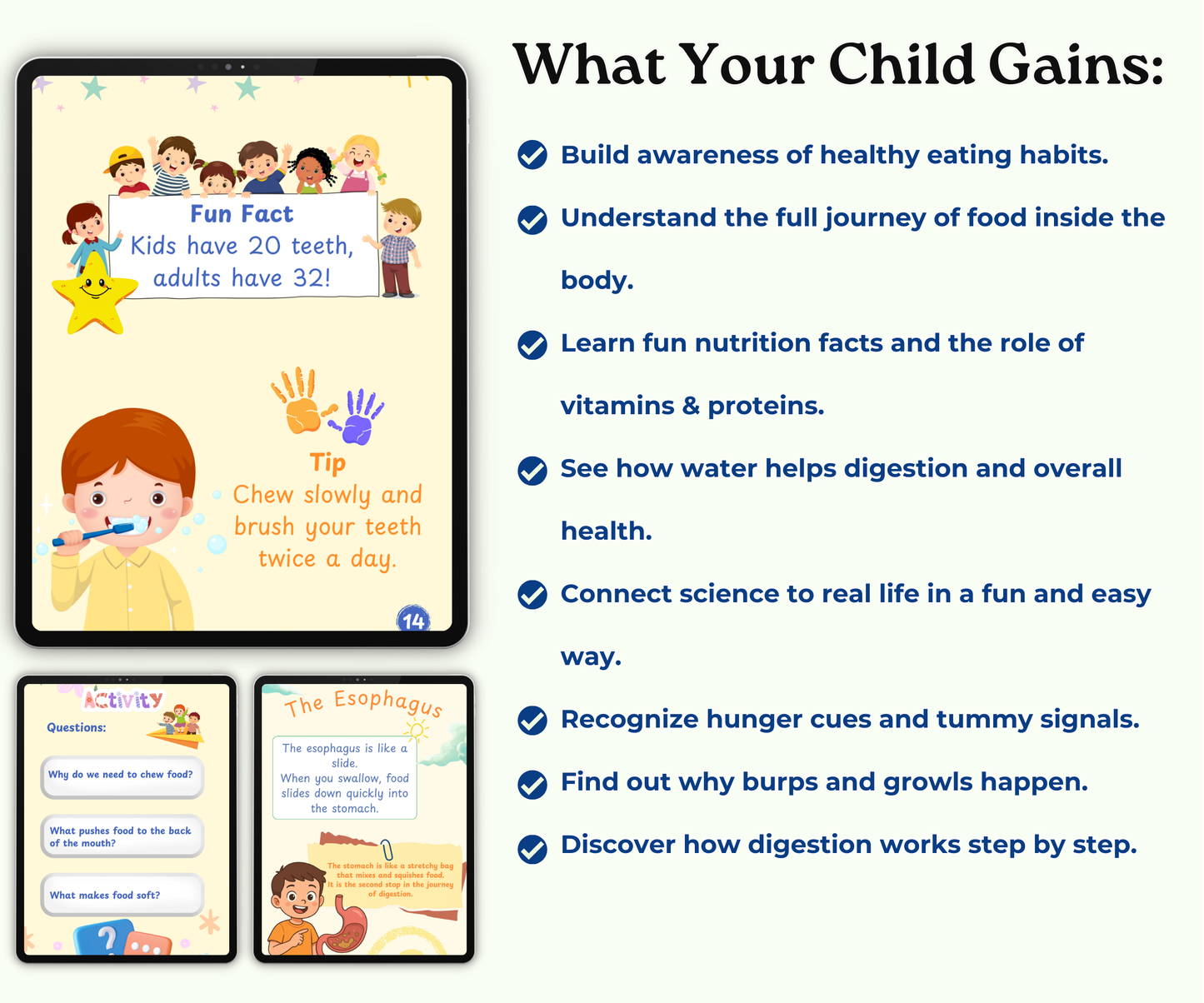 The Digestive System: The Food Adventure Inside You