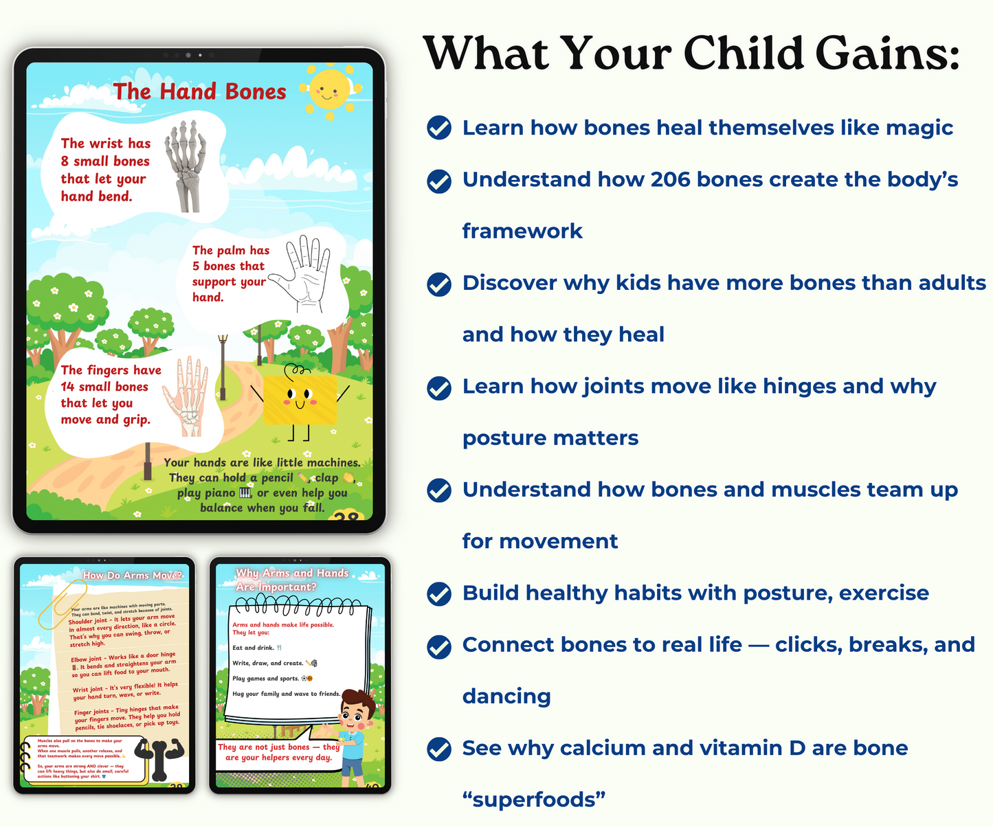 The Skeletal System: Strong Bones, Strong You