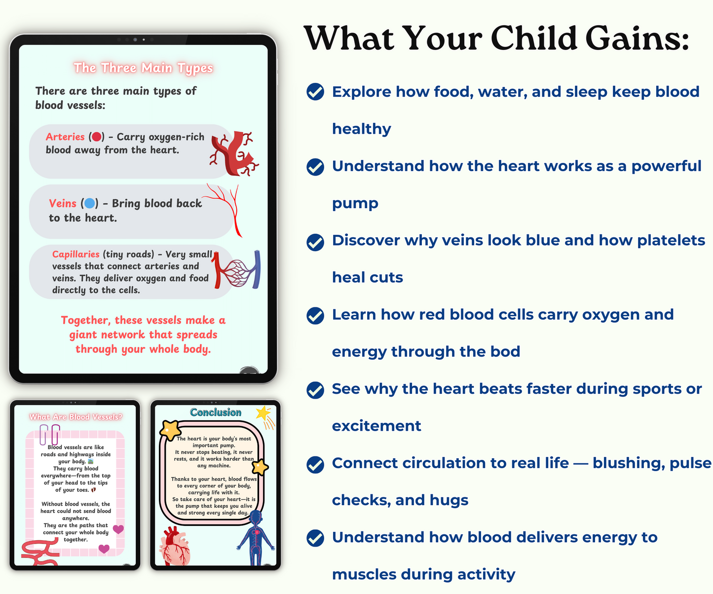 The Circulatory System: The Heart and Blood Super Team