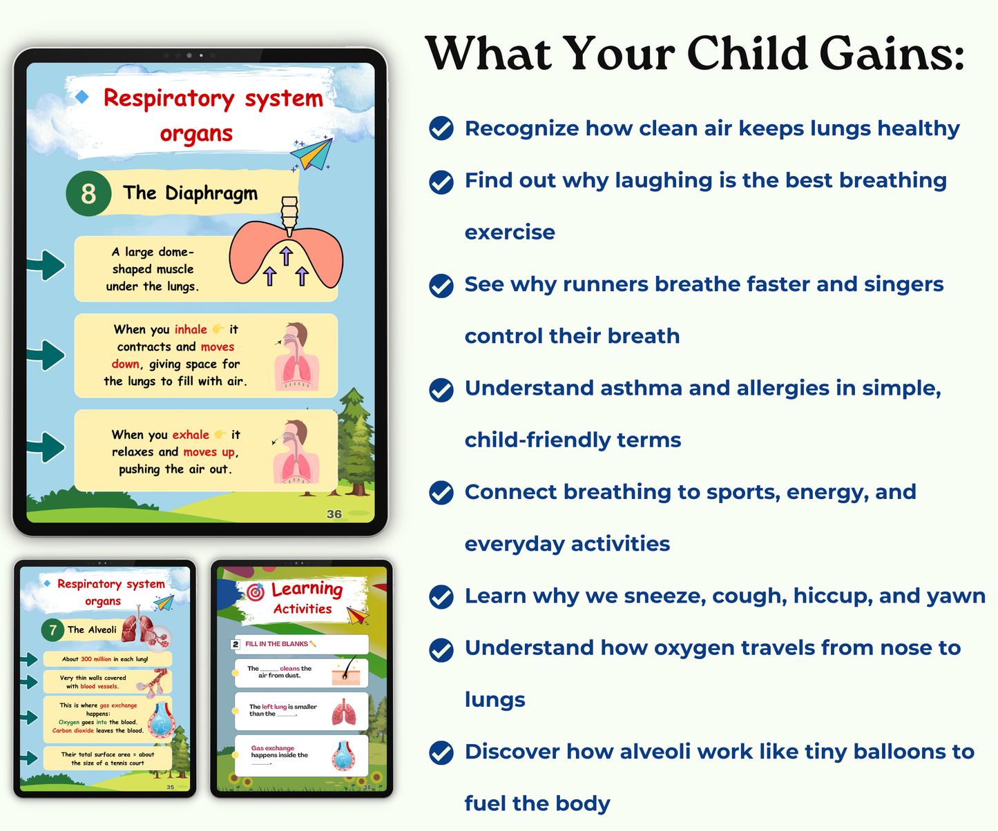 The Respiratory System: Breathing Magic for Life