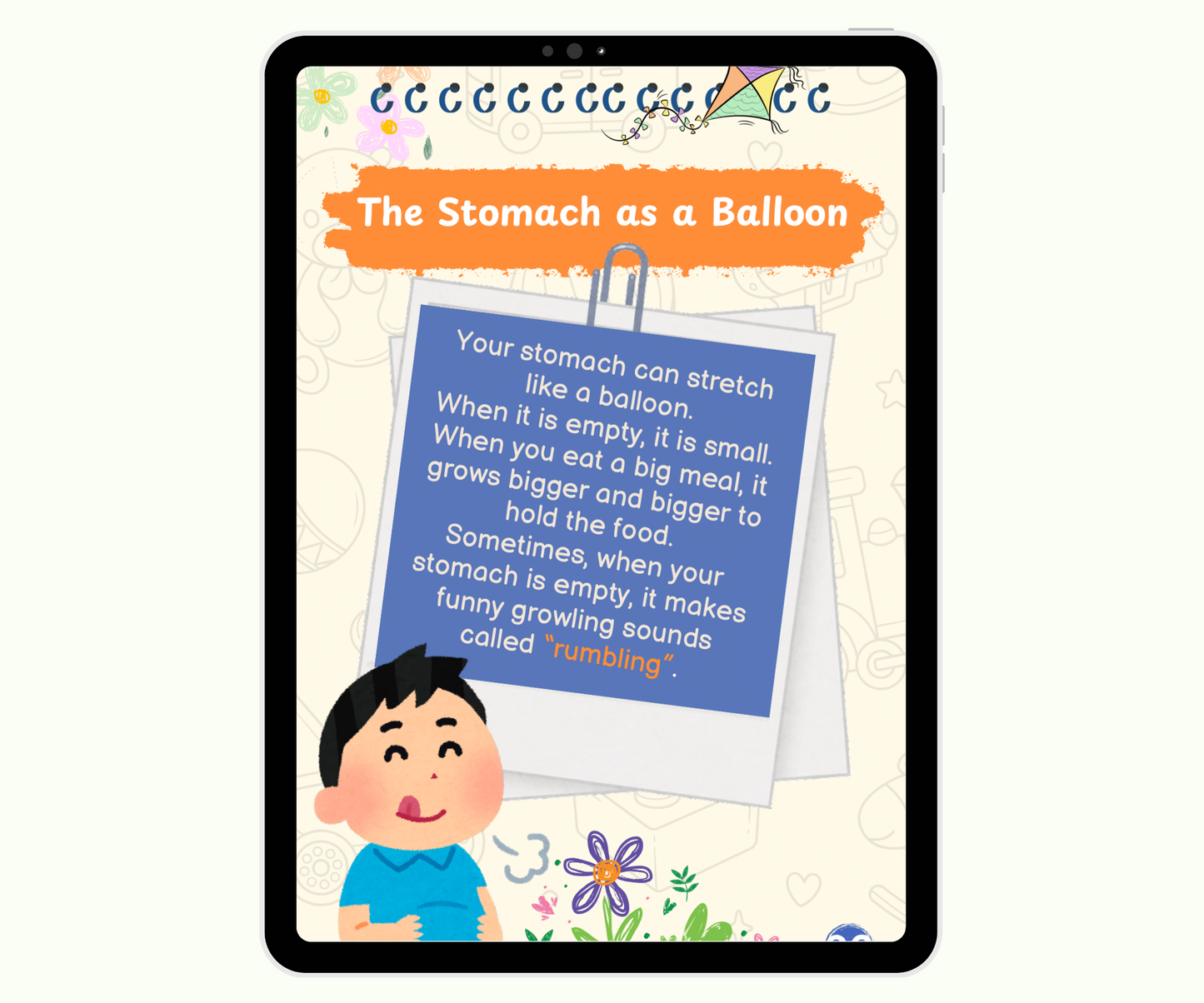 The Digestive System: The Food Adventure Inside You