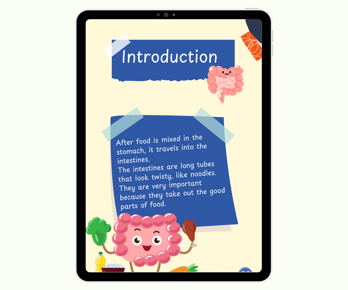 The Digestive System: The Food Adventure Inside You