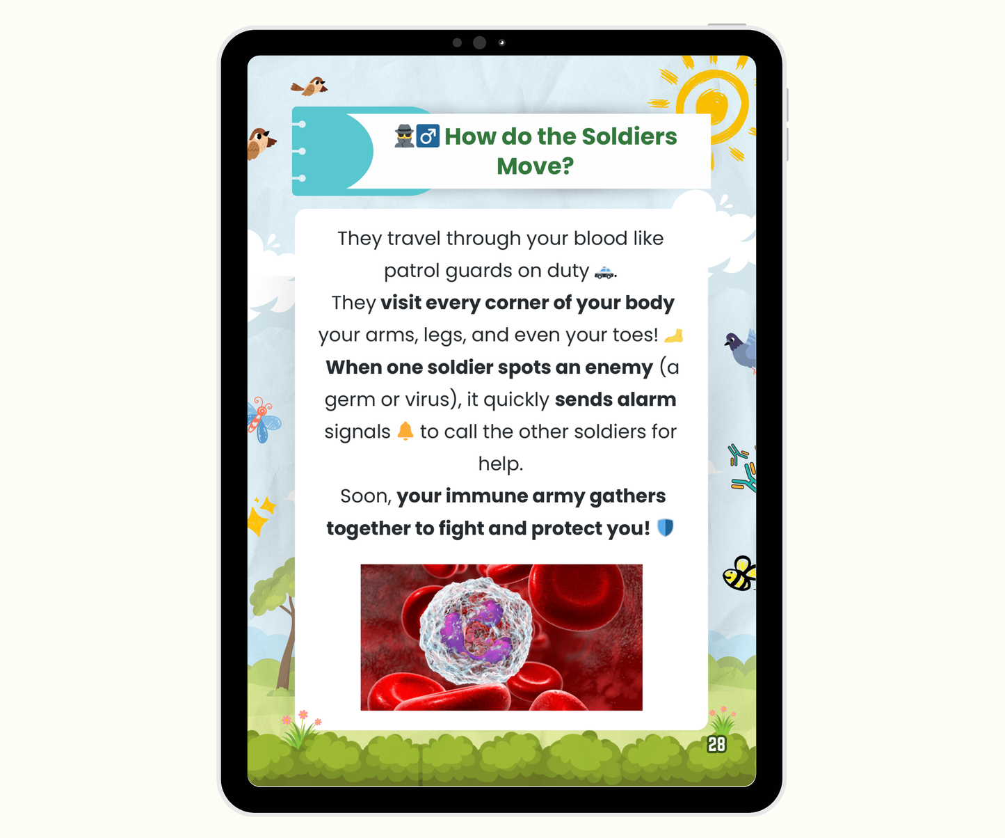 The Immune System: Your Invisible Super Shield