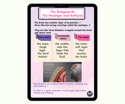 The Brain: The Mighty Boss of Your Body