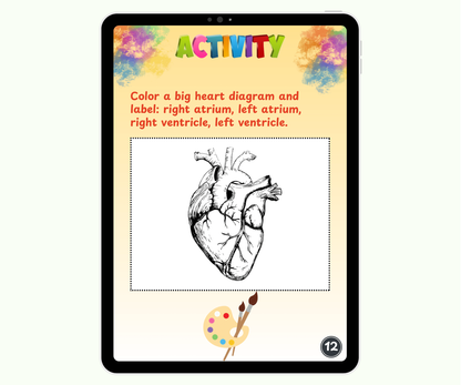 The Heart: The Tireless Engine of Life