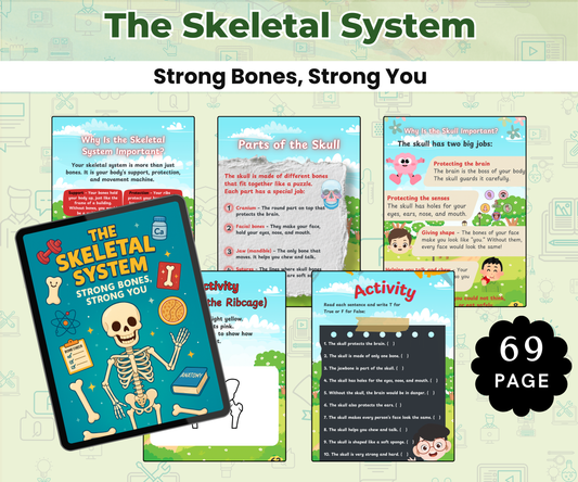 The Skeletal System: Strong Bones, Strong You