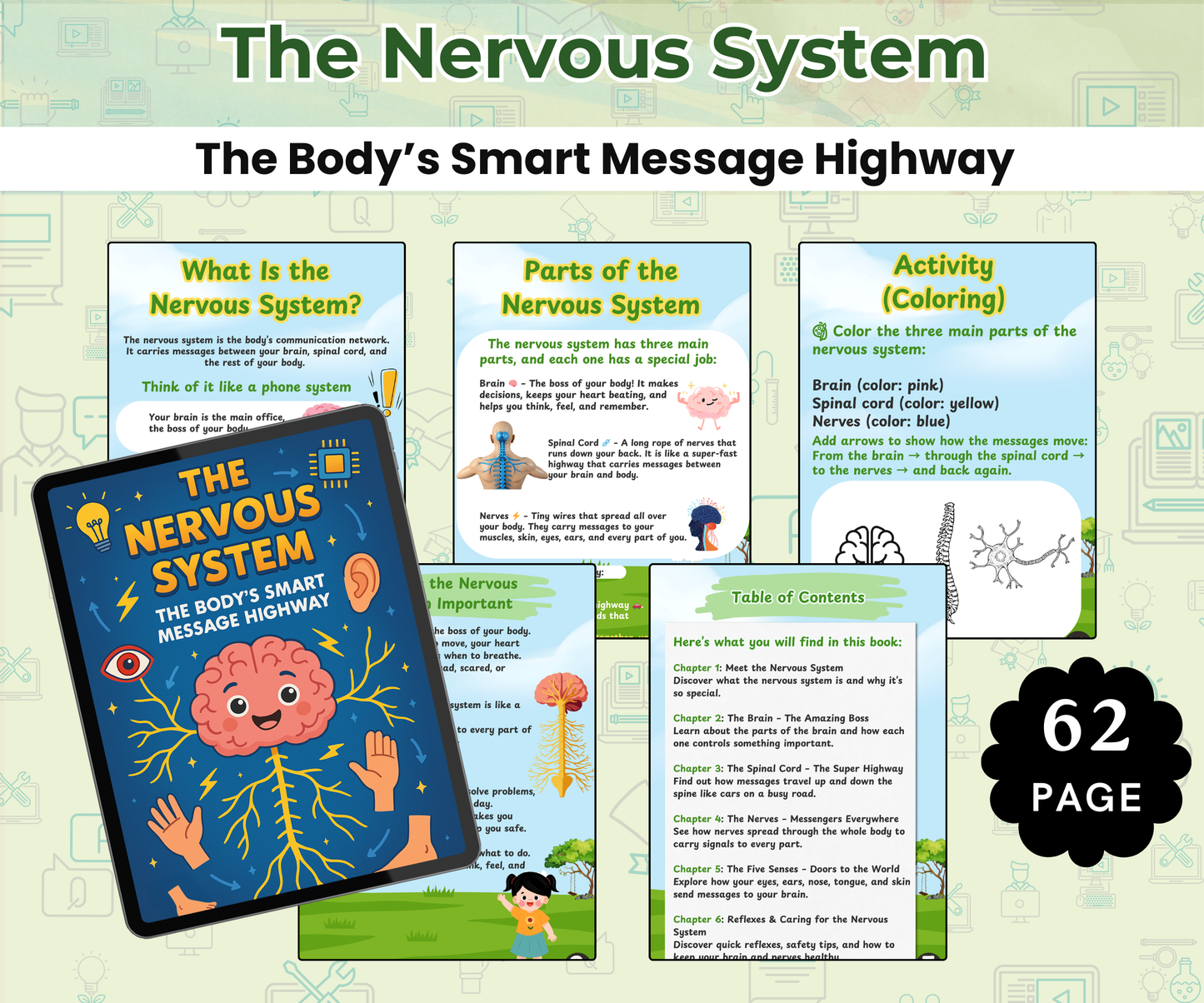 The Human Body Super Pack (14 Systems eBooks in One Bundle)