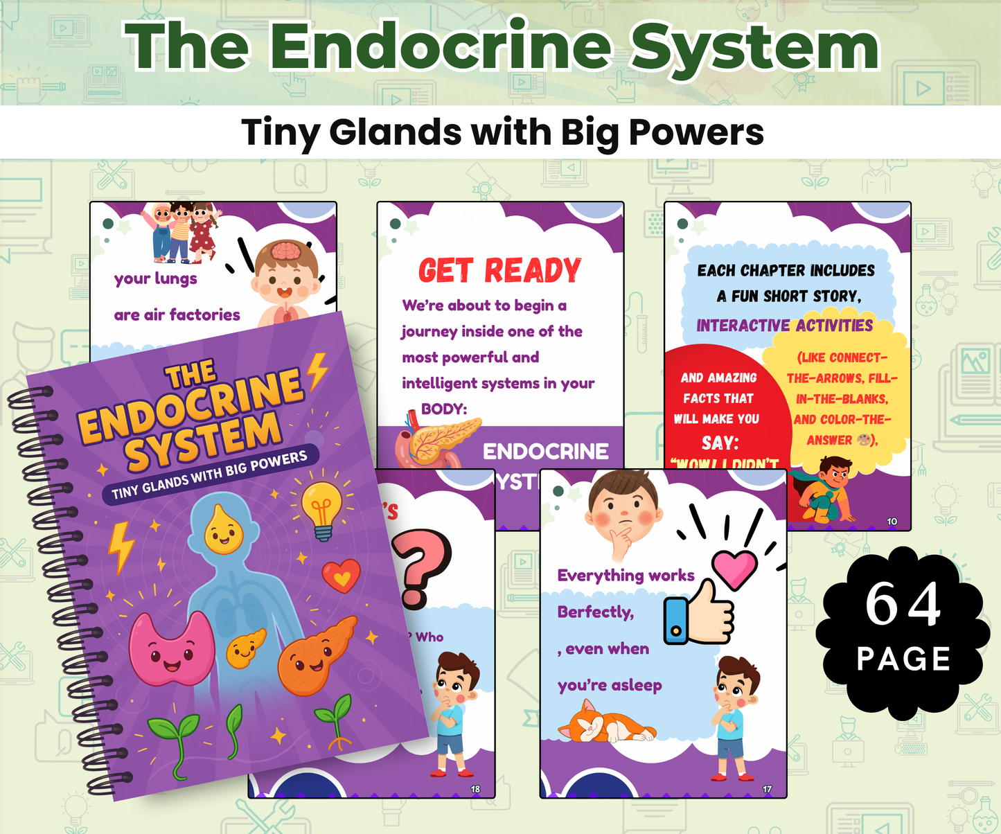 The Human Body Super Pack (14 Systems eBooks in One Bundle)