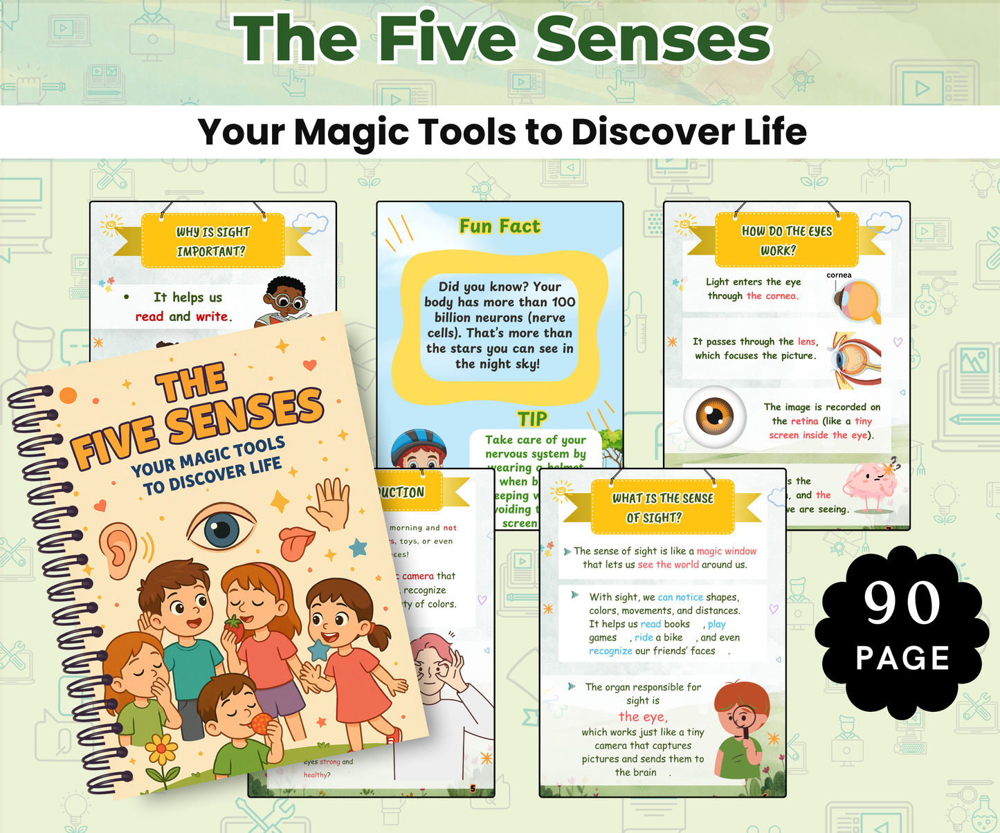 The Five Senses: Your Magic Tools to Discover Life