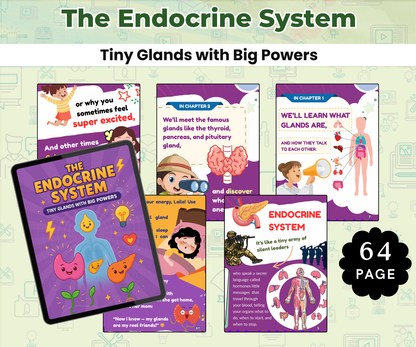 The Endocrine System: Tiny Glands with Big Powers