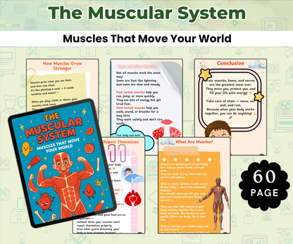 The Muscular System: Muscles That Move Your World