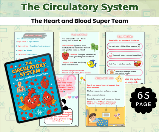 The Circulatory System: The Heart and Blood Super Team