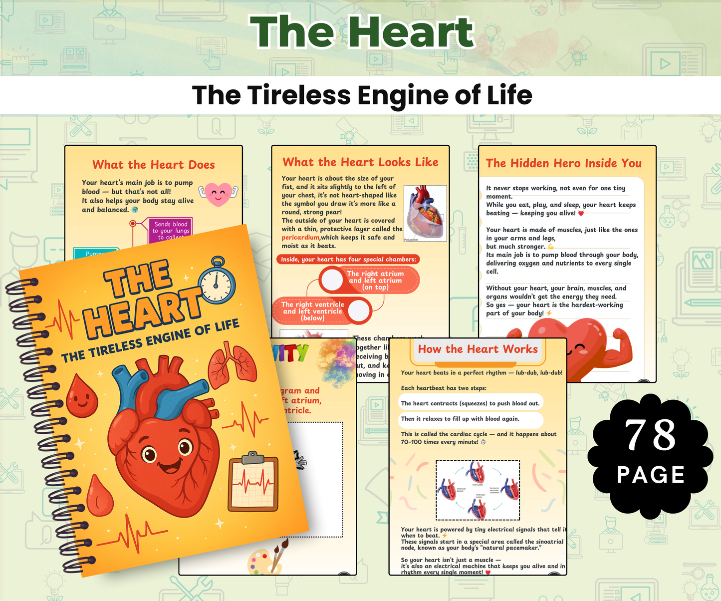 The Human Body Super Pack (14 Systems eBooks in One Bundle)