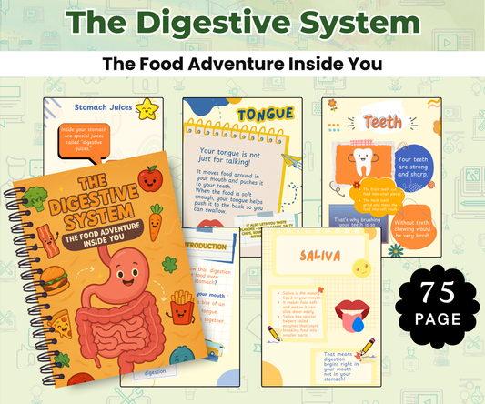 The Digestive System: The Food Adventure Inside You
