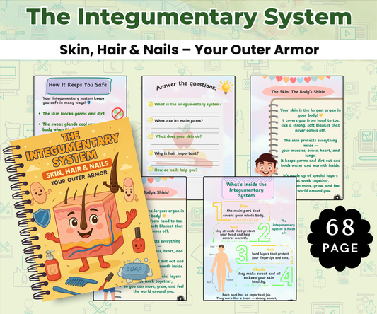 The Integumentary System: Skin, Hair & Nails – Your Outer Armor