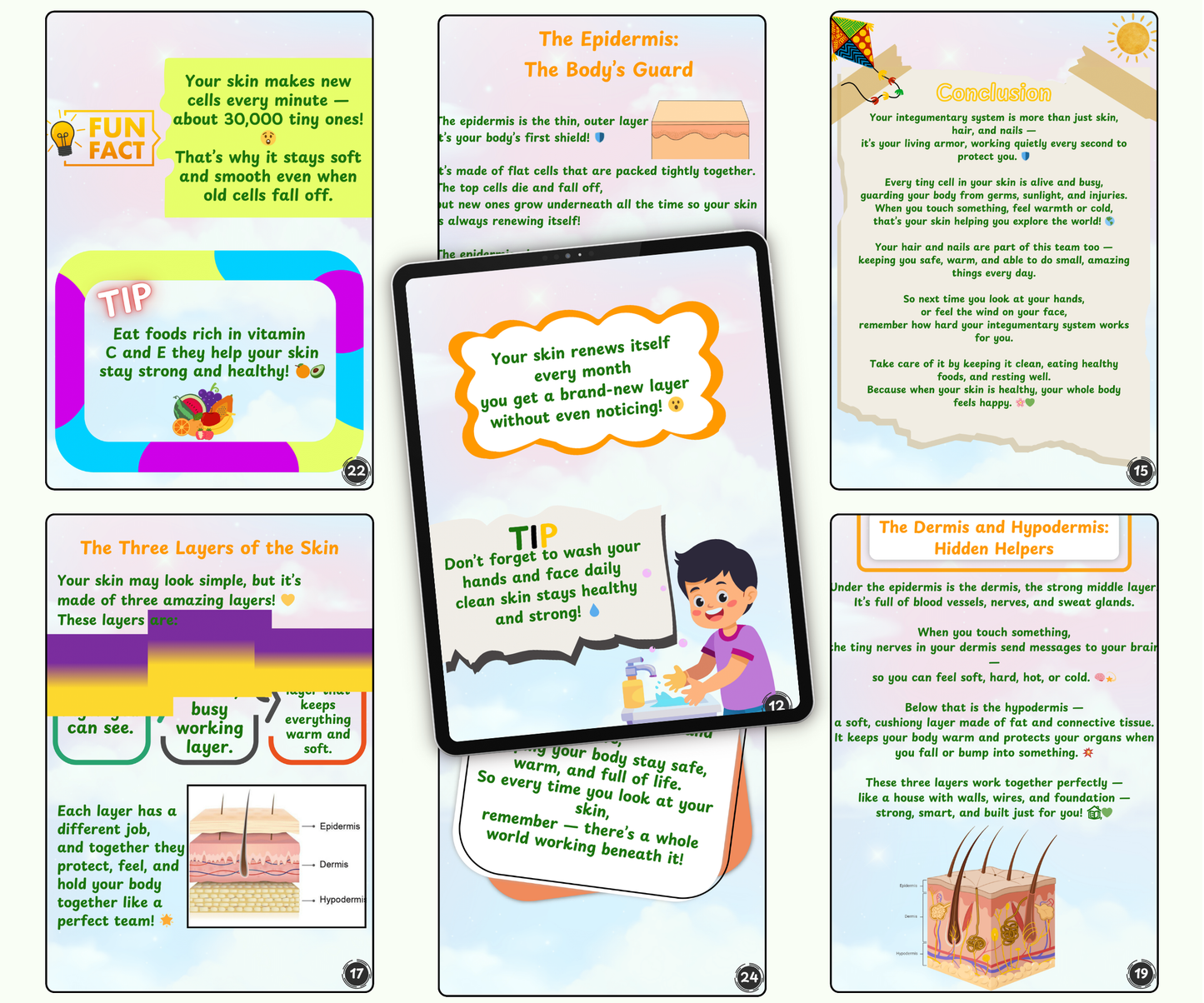 The Integumentary System: Skin, Hair & Nails – Your Outer Armor