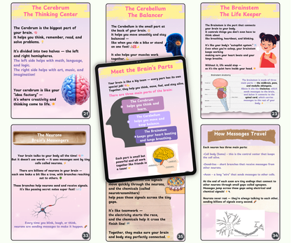 The Brain: The Mighty Boss of Your Body