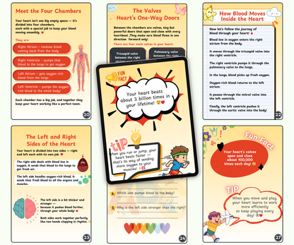 The Heart: The Tireless Engine of Life