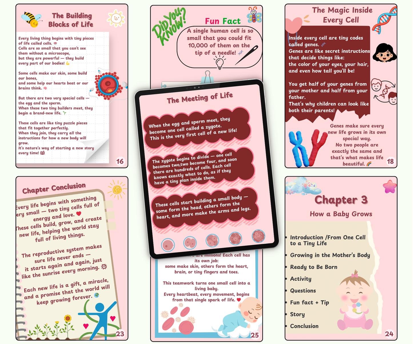 The Reproductive System: The Amazing Story of Life