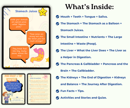 The Digestive System: The Food Adventure Inside You