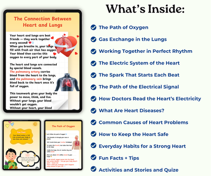 The Heart: The Tireless Engine of Life