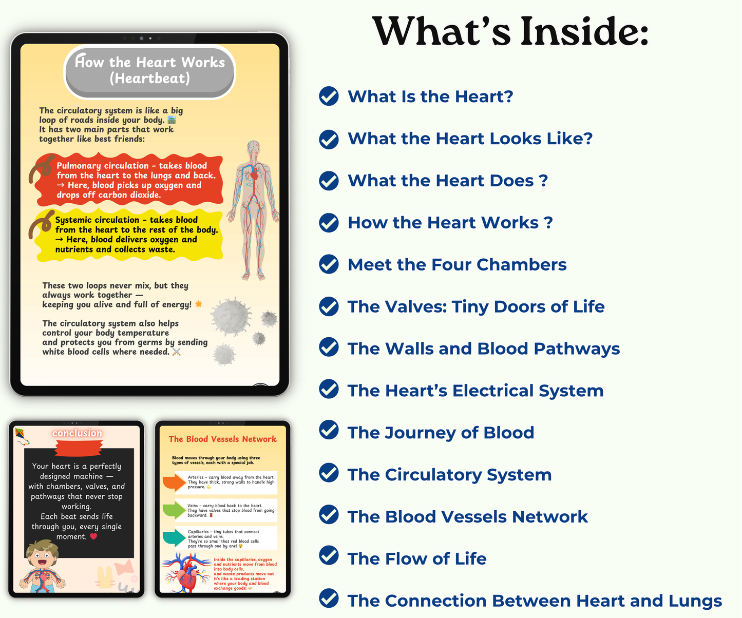 The Heart: The Tireless Engine of Life