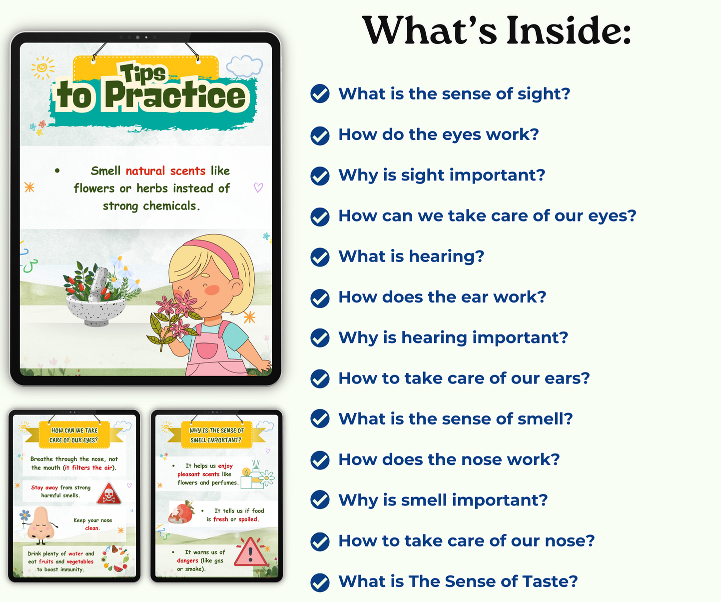 The Five Senses: Your Magic Tools to Discover Life