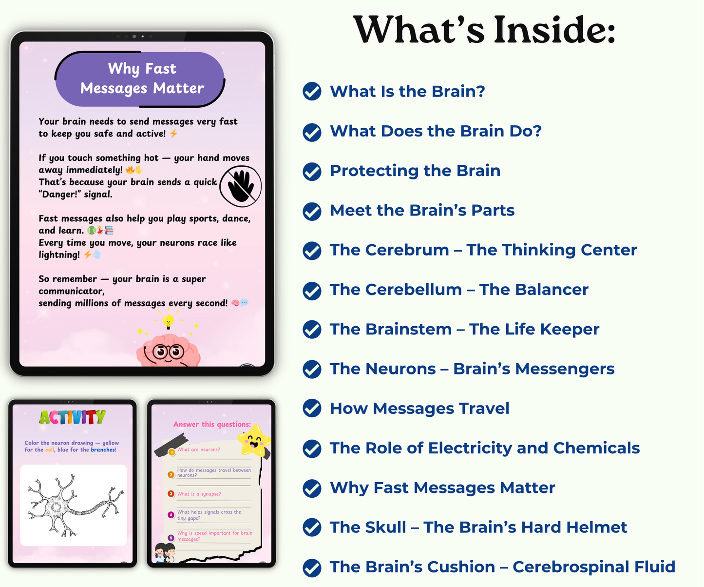 The Brain: The Mighty Boss of Your Body