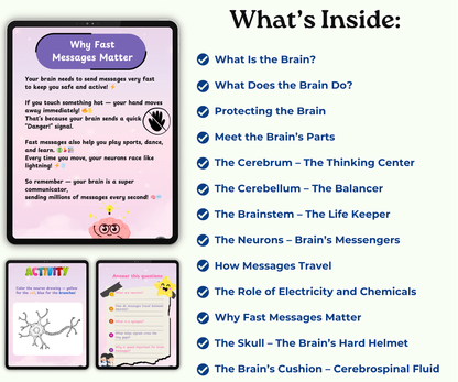 The Brain: The Mighty Boss of Your Body