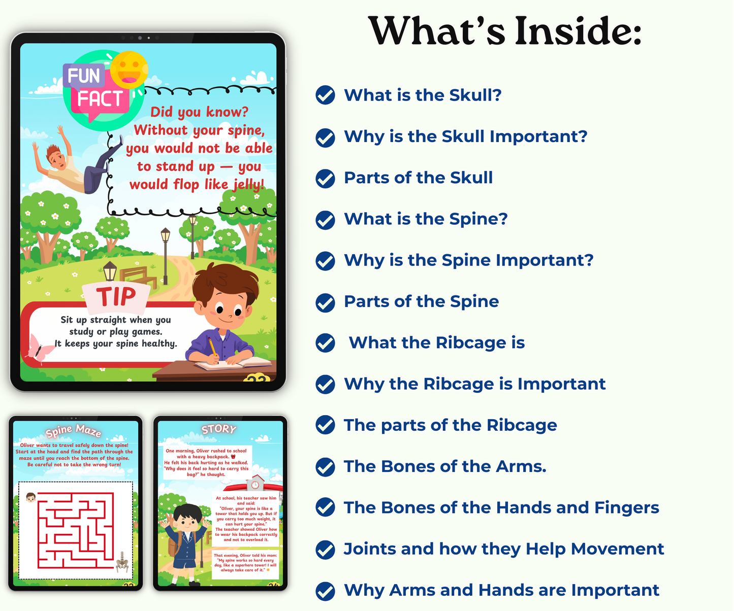 The Skeletal System: Strong Bones, Strong You