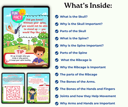 The Skeletal System: Strong Bones, Strong You