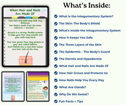 The Integumentary System: Skin, Hair & Nails – Your Outer Armor