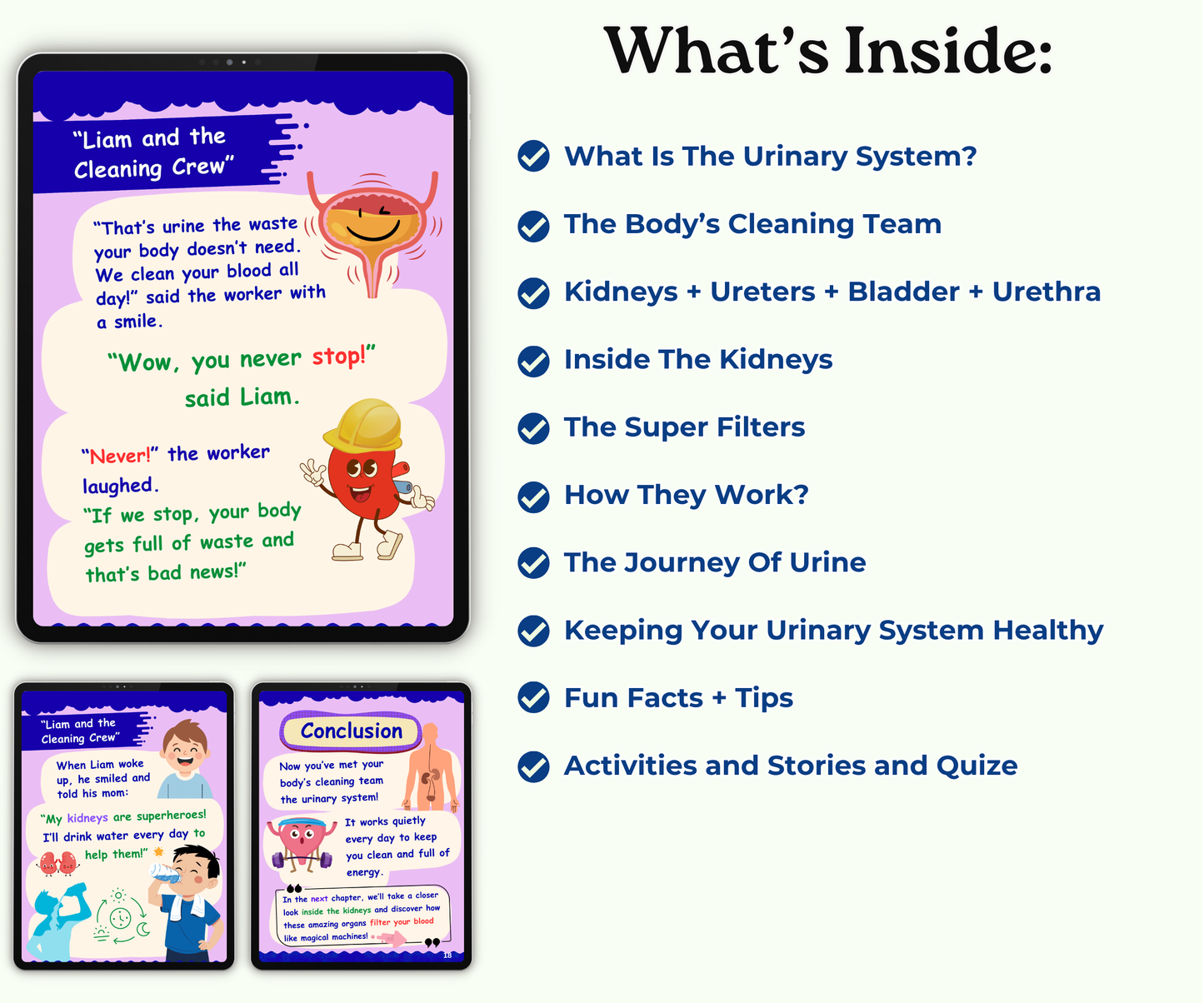 The Urinary System: The Body’s Cleaning Factory
