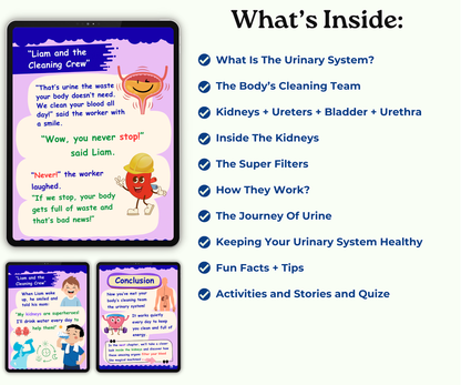 The Urinary System: The Body’s Cleaning Factory