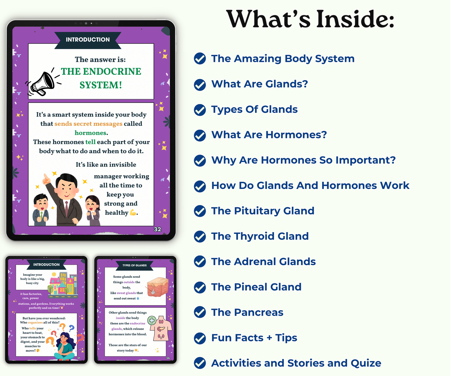 The Endocrine System: Tiny Glands with Big Powers