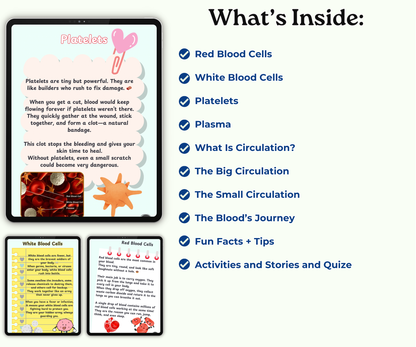 The Circulatory System: The Heart and Blood Super Team