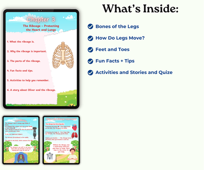 The Skeletal System: Strong Bones, Strong You